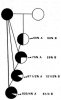 line breeding chart.jpg